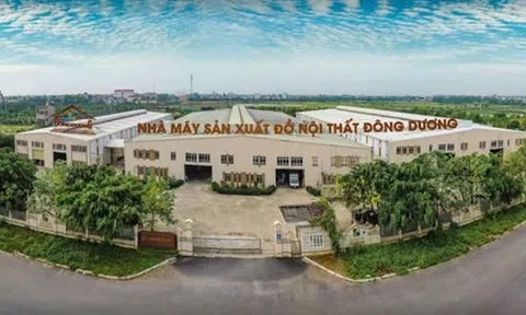 Xây dựng Đông Dương (DDB) bị phạt nặng vì công bố thông tin chậm và “vẽ” lợi nhuận ảo