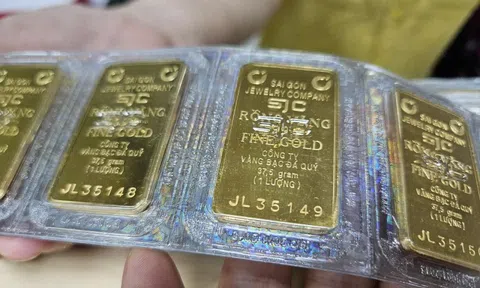 Giá vàng hôm nay 25-8: Vàng miếng SJC xuất hiện mốc đỉnh mới 128,3 triệu đồng/lượng