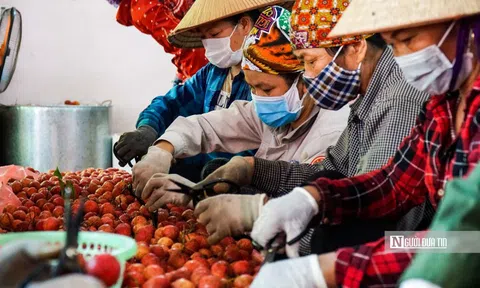 Bộ Tài chính: Giảm trừ gia cảnh không phân biệt thu nhập, nơi sống