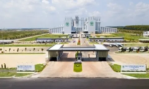 C.P. hụt thu gần 6.000 tỷ đồng tại Việt Nam sau lùm xùm heo bệnh