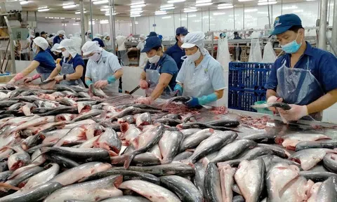 Mở rộng đối tượng vay gói tín dụng 100.000 tỷ đồng trong lĩnh vực nông, lâm, thuỷ sản