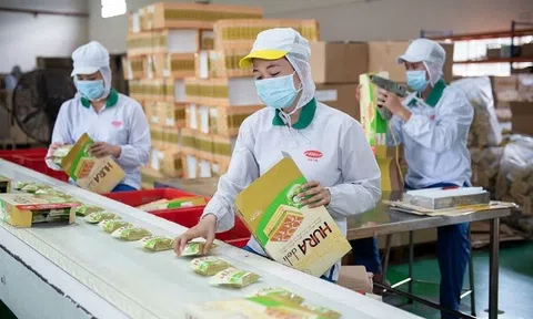 Hãng bánh kẹo nổi tiếng Bibica không còn là công ty đại chúng