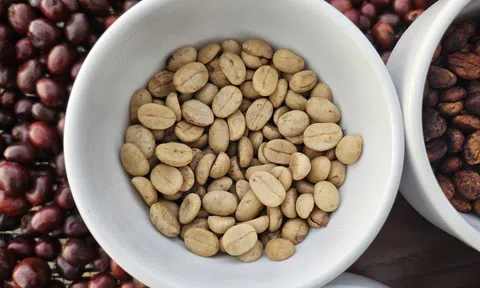 Giá cà phê hôm nay 23-11: Một tuần bão tố