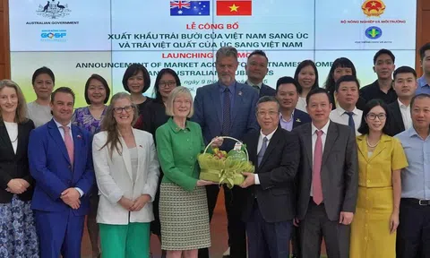 Trái bưởi của Việt Nam chính thức có "visa" vào Úc