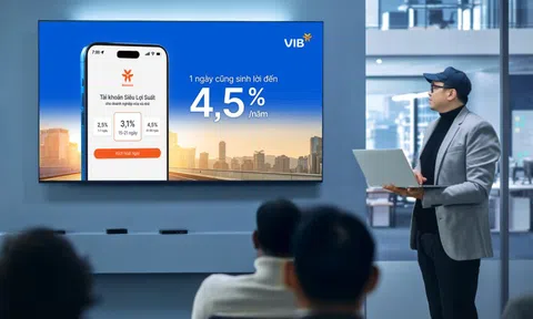 Từ cá nhân đến doanh nghiệp: Tài khoản Siêu Lợi Suất VIB tái định nghĩa giá trị về tiền nhàn rỗi