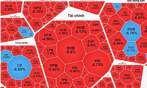 Chứng khoán ngày 9-1: VN-Index tăng hơn 12 điểm, cổ phiếu bất động sản bị bán tháo