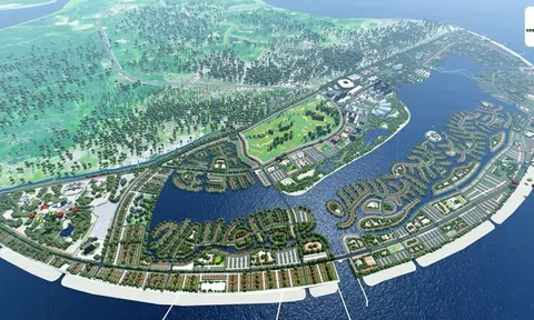 CEO VinEnergo: “Sự an toàn của hệ sinh thái biển Cần Giờ là ưu tiên tối thượng”