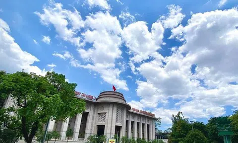 Cập nhật thị trường tiền tệ 13/1: Ngân hàng Nhà nước hút ròng hơn 80.000 tỷ từ đầu năm, lãi suất liên ngân hàng tăng trở lại