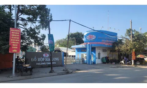 Kiểm tra Công ty Đồ hộp Hạ Long, 3 năm không phát hiện sai phạm