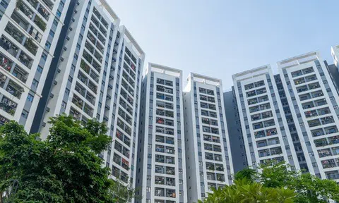 Đà tăng giá căn hộ Hà Nội khó hạ nhiệt trong nửa đầu năm 2026 vì yếu tố này