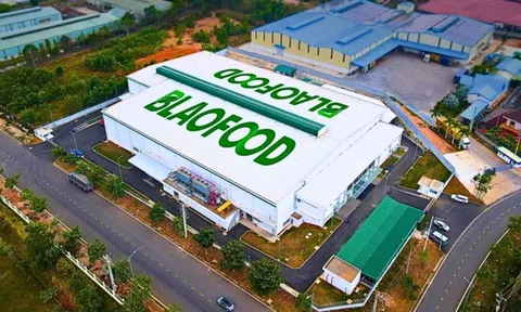 Công ty Việt Nam đầu tiên xuất khẩu nông sản đông lạnh ra thế giới chốt ngày chào sàn HOSE, giá tham chiếu 40.900 đồng/cp