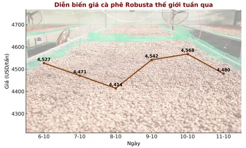 Giá cà phê hôm nay 11-10: Chốt tuần giảm, xuất khẩu cà phê toàn cầu ra sao?