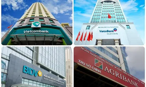 Lần đầu tiên tại Việt Nam, ba ngân hàng cán mốc 100 tỷ USD tổng tài sản: Ai sắp lọt Top 100 Châu Á?