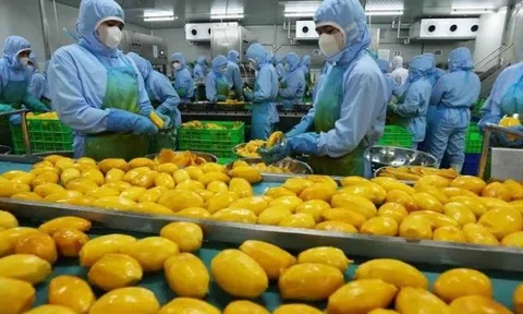 Khuyến cáo doanh nghiệp cập nhật quy định mới của Trung Quốc về xuất khẩu thực phẩm