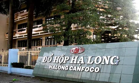 Thịt heo bệnh thành pate ở Đồ hộp Hạ Long: Hồ sơ công ty "đổi chủ" liên tục