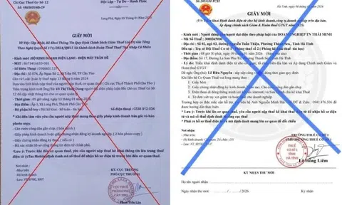 Cảnh báo giả mạo giấy mời làm việc với cơ quan thuế