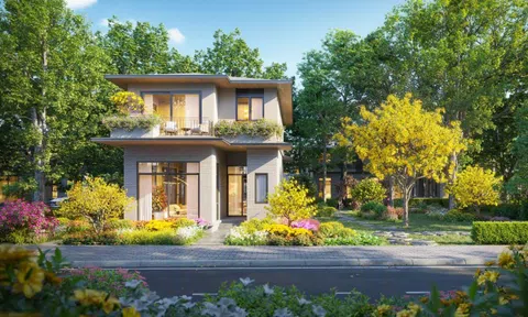 Rừng Mai – Mảnh ghép đầu tiên mở ra Mùa lễ hội tại Eco Retreat