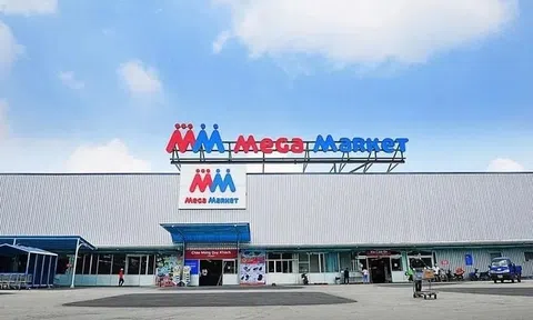 Một đại gia Thái bỏ ra 19.000 tỷ đồng thâu tóm toàn hệ thống MM Mega Market Việt Nam