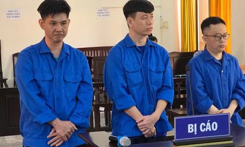 Cựu nhân viên ngân hàng lừa đảo 8 tỉ đồng tại Phú Quốc vì thua lỗ bất động sản