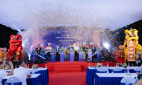 NETHOMES - Đơn vị tư vấn và phát triển kinh doanh bất động sản chuyên nghiệp