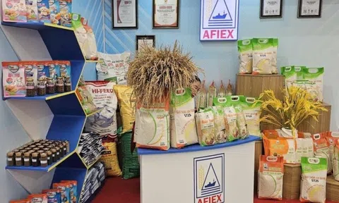 Lên HoSE, AFIEX báo lãi tăng mạnh trong năm 2025