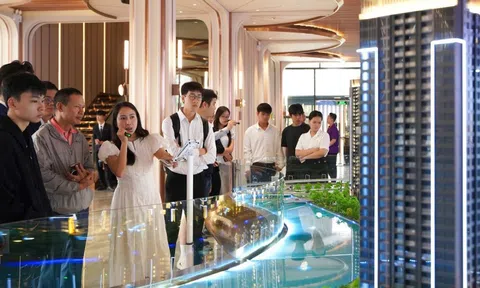 Vì sao căn hộ hạng sang trung tâm trở thành lựa chọn ưu tiên của giới đầu tư thượng lưu?