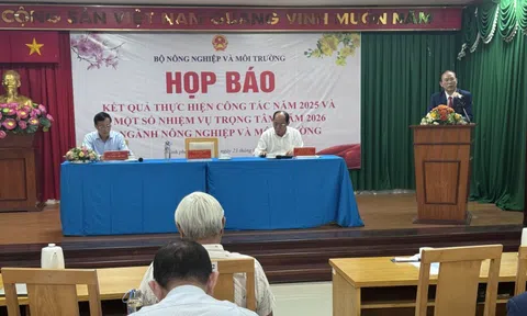 Nhiều nước muốn mua gạo thơm Việt Nam nhưng doanh nghiệp chưa xuất được