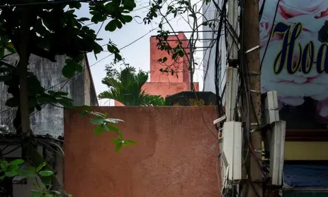 Ngôi nhà ẩn trong ngõ cho gia chủ đắm mình giữa thiên nhiên