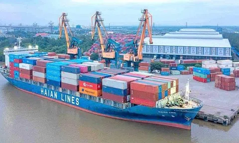 Lãnh đạo Xếp dỡ Hải An không mua hết 1 triệu cổ phiếu HAH đã đăng ký