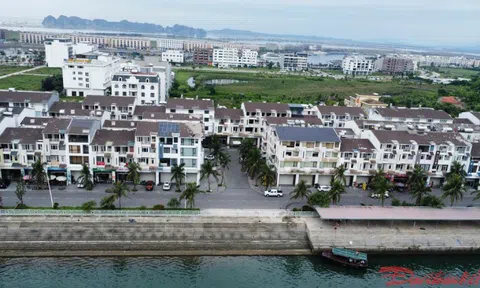 Quảng Ninh tháo gỡ vướng mắc thi hành án liên quan tới Vạn Thịnh Phát