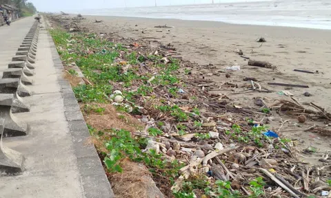 Nhếch nhác khu du lịch Ba Động nổi tiếng