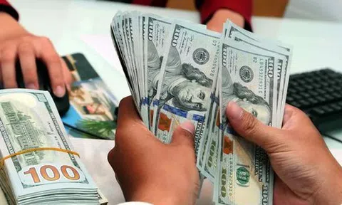 Cập nhật thị trường tiền tệ: Tỷ giá USD tự do tăng mạnh, NHNN hút ròng hơn 40.000 tỷ đồng trong tuần qua