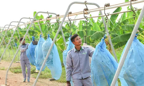 Siêu dự án 750 triệu đô của doanh nghiệp Việt phía sau "cuộc lột xác" của vùng đất Nam Lào