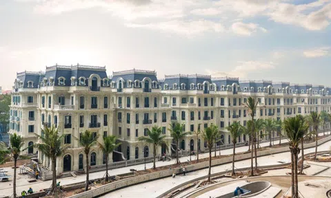 Sunshine Group tạo đột phá trong giai đoạn tái cấu trúc: Lợi nhuận 2025 vượt 11.200 tỷ, tổng tài sản gần 120.000 tỷ