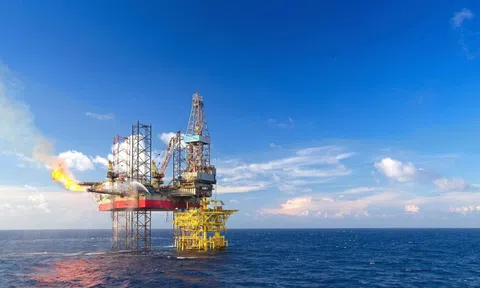 PVS báo lãi hơn 950 tỷ đồng trong quý 4/2025, tăng 73%