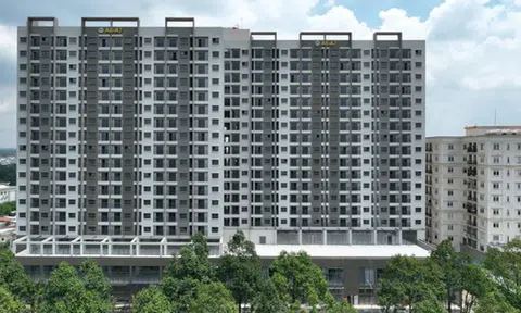 Hàng triệu người dân Đồng Nai sắp đón tin vui