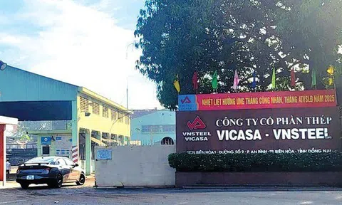 Tổng giám đốc Thép Vicasa xin từ nhiệm