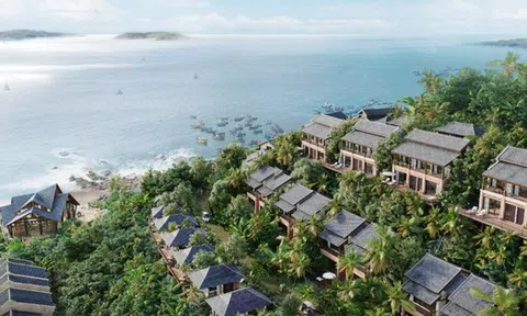 Vinam Land lỗ ròng hơn 100 tỷ đồng trong nửa đầu năm 2025