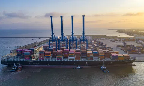 Viconship (VSC) báo lãi ròng 681 tỷ trong năm 2025, tăng 130% so với năm trước