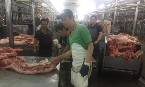 Giá heo hơi hôm nay, 1-2: Giá thịt heo tăng mạnh tại chợ đầu mối