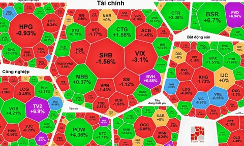 Nhiều cổ phiếu tăng trần sao VN-Index vẫn giảm hơn 22 điểm?