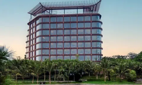 OCH vượt 67% kế hoạch lợi nhuận năm 2025, doanh thu đạt 1.188 tỷ đồng