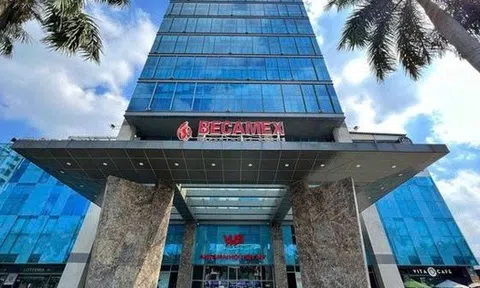 Becamex Group sắp chi hơn 1.100 tỷ đồng trả cổ tức năm 2024