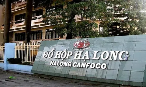 Đồ hộp Hạ Long báo lỗ quý 4/2025 kỷ lục 9,5 tỷ đồng trong hơn 2 thập kỷ sau lùm xùm thịt heo bệnh