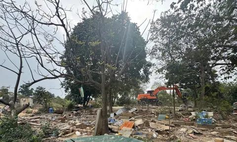 Hà Nội cưỡng chế 7 điểm tập kết cát, sỏi ven sông Hồng