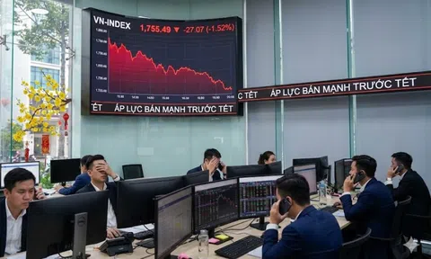 Dòng tiền rút mạnh trước Tết, thị trường chứng khoán chìm trong sắc đỏ