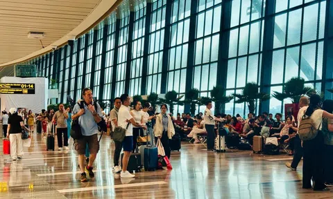 Tân Sơn Nhất dự kiến đón hơn 1.000 chuyến bay mỗi ngày dịp Tết