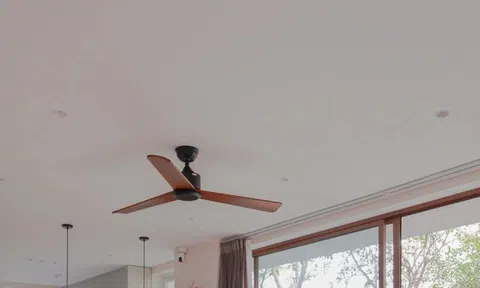 Không gian với góc nhà đầy hoa lá, tràn ngập ánh sáng