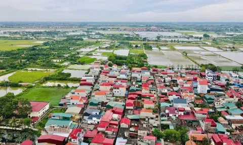 Đất đấu giá xã ngoại thành Hà Nội trúng cao nhất hơn 164 triệu đồng/m2