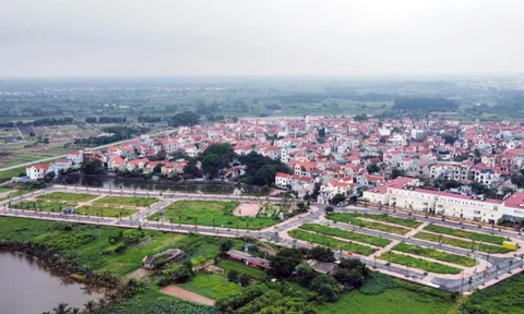 Nâng tiền đặt cọc lên 50%, đất đấu giá diễn biến ra sao?